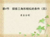 《黄金分割》PPT课件2-九年级上册数学北师大版