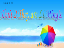 辽师大版英语六上《Unit 2 They are Li Ming's》PPT课件2
