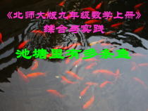 《池塘里有多少条鱼》PPT课件1-九年级上册数学北师大版