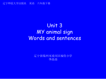 辽师大版英语六下《Unit 3 My animal sign》PPT课件1