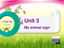 辽师大版英语六下《Unit 3 My animal sign》PPT课件3