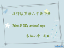 辽师大版英语六下《Unit 3 My animal sign》PPT课件7