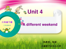 辽师大版英语六下《Unit 4 A different weekend》PPT课件7