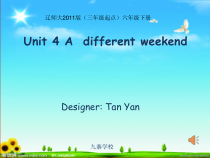 辽师大版英语六下《Unit 4 A different weekend》PPT课件9