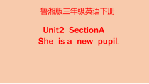 湘鲁版英语三年级下册《She is a new pupil Section A》优质PPT课件3