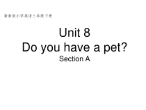 湘鲁版英语三年级下册《Unit 8 Do you have a pet Section A》公开课PPT课件2