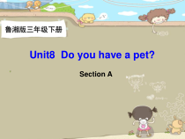 湘鲁版英语三年级下册《Unit 8 Do you have a pet Section A》优质课PPT课件3