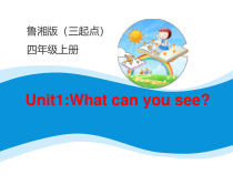 湘鲁版英语四年级上册《Unit 1 What can you see Section A》教学PPT课件4