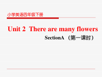 湘鲁版英语四年级下册《Unit 2 There are many flowers Section A》优质课PPT课件2