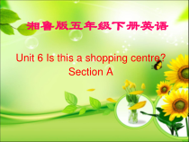 湘鲁版英语五年级下册《Unit 6 Is this a shopping centre Section A》精品PPT课件3