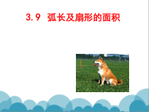 《9 弧长及扇形的面积》PPT课件1-九年级下册数学北师大版