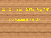《梯子的倾斜程度与正切》PPT课件1-九年级下册数学北师大版