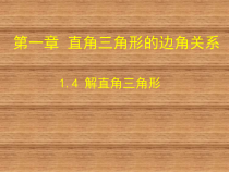 《4 解直角三角形》PPT课件2-九年级下册数学北师大版