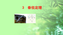 《＊3 垂径定理》PPT课件2-九年级下册数学北师大版