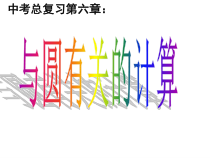 《复习题》PPT课件2-九年级下册数学北师大版