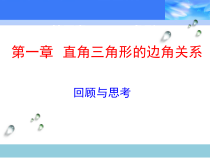 《回顾与思考》PPT课件5-九年级下册数学北师大版