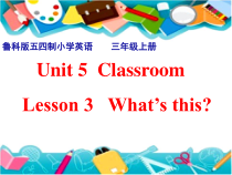 鲁科版英语三年级上册《Lesson 3 What’s this？》公开课PPT课件3