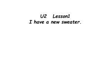 鲁科版英语三年级下册《Lesson 1 I have a new sweate》教学PPT课件2