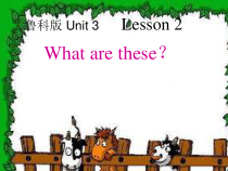 鲁科版英语三年级下册《Lesson 2 What are these？》公开课PPT课件2