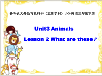 鲁科版英语三年级下册《Lesson 2 What are these？》公开课PPT课件3