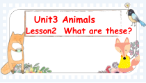 鲁科版英语三年级下册《Lesson 2 What are these？》精品PPT课件2