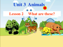 鲁科版英语三年级下册《Lesson 2 What are these？》优质PPT课件1