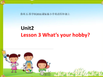 鲁科版英语四年级上册《Lesson 3 What’s your hobby？》优质课PPT课件2