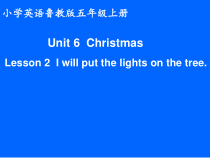 鲁科版英语五年级上册《Lesson 2 I will put the lights on the tree》公开课PPT课件3