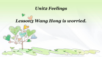鲁科版英语五年级上册《Lesson 3 Wang Hong is worried》PPT课件2(1)