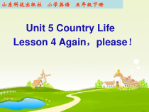 鲁科版英语五年级下册《Lesson 4 Again,please!》优质PPT课件4