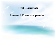 鲁科版（五四制）英语三下《Unit 3 Lesson 1 These are pandas》PPT课件(共25页)