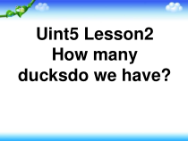 鲁科版英语（五四制）五下《Unit 5 lesson 2》音频素材+课件