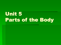 闽教版英语三年级上册《Unit 5 Parts of the Body Part A》PPT课件3