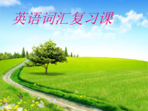 闽教版英语六年级下册《Review 2》优质课PPT课件3