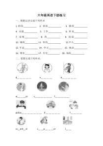 闽教版英语六年级下册期末练习  （无答案）