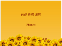 闽教版英语小升初《英语字母自然拼读 》总复习课件(共40页)