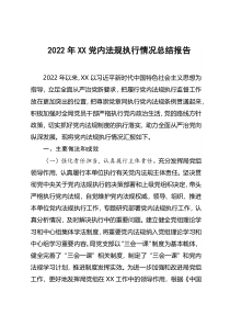 2022年XX党内法规执行情况总结报告