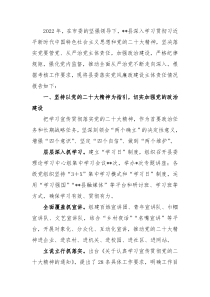 2022年度落实党风廉政建设主体责任情况报告