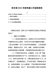 党支部2022年抓党建工作述职报告