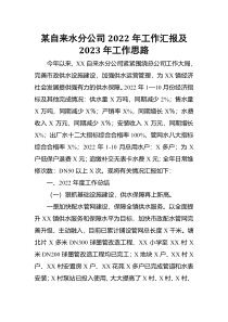 某自来水分公司2022年工作汇报及2023年工作思路