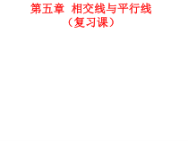 《复习题5》PPT课件3-七年级下册数学人教版