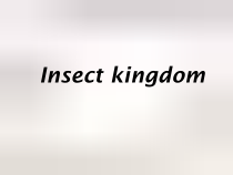 牛津上海版三年级上册英语《Unit 1 Insects》备课PPT课件2(1)