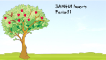 牛津上海版英语三年级上册《Unit 1 Insects》优质PPT课件(1)