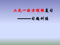 《习题训练》PPT课件6-七年级下册数学人教版
