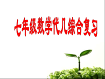 《习题训练》PPT课件4-七年级下册数学人教版
