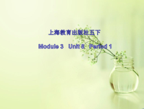 牛津上海版英语五年级上册《Unit 2 Buying new clothes》精品PPT课件