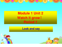 牛津上海版五年级下册英语《Unit 2 Watch it grow!》备课PPT课件