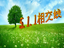 《章前引言及相交线》PPT课件1-七年级下册数学人教版