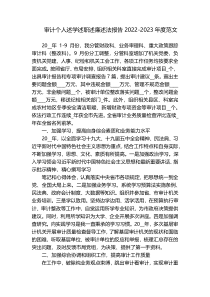 审计个人述学述职述廉述法报告2022-2023年度范文