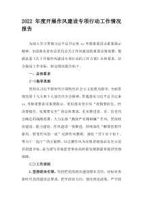 2022年度开展作风建设专项行动工作情况报告